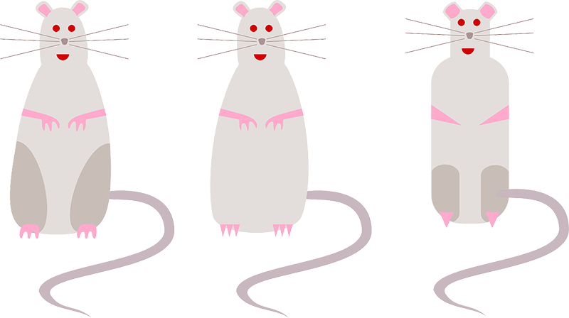 O Rato do Campo e o Rato da Cidade, fábula adaptada de Esopo