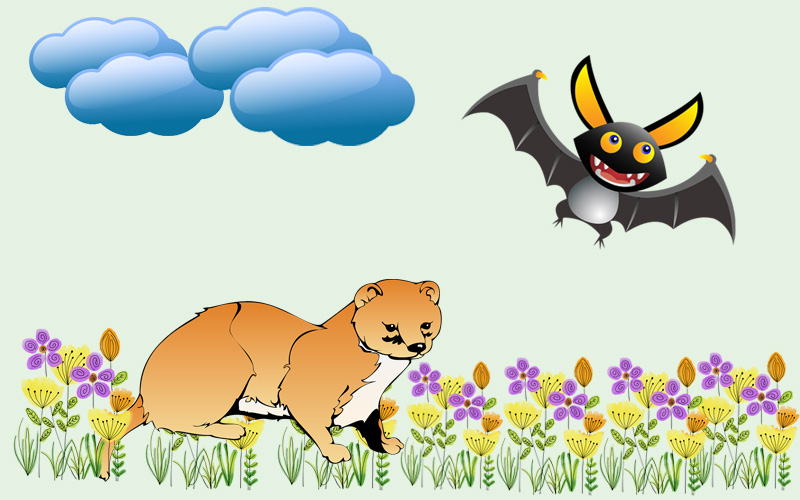 O morcego e a doninha, adaptação de fábula de Esopo