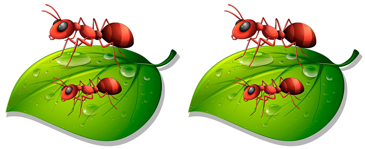 A formiga e a pomba, adaptado de fábula de La Fontaine