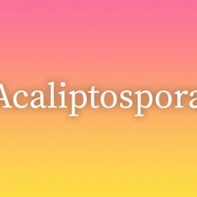 Acaliptospora