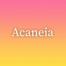 Acaneia