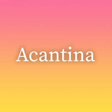 Acantina