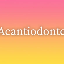 Acantiodonte