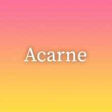 Acarne