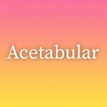 Acetabular