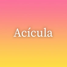 Acícula