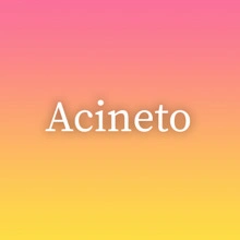 Acineto