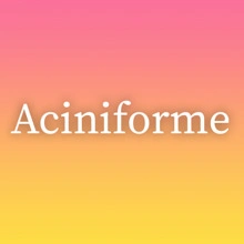 Aciniforme