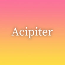 Acipiter