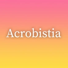 Acrobistia