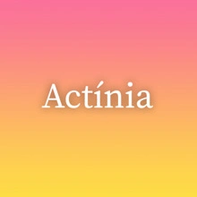 Actínia