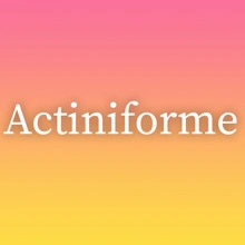 Actiniforme