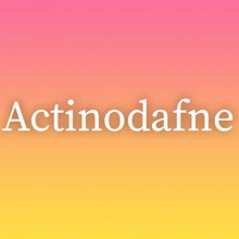 Actinodafne