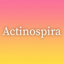 Actinospira