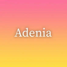 Adenia