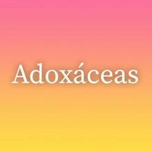 Adoxáceas