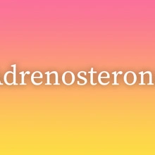 Adrenosterona
