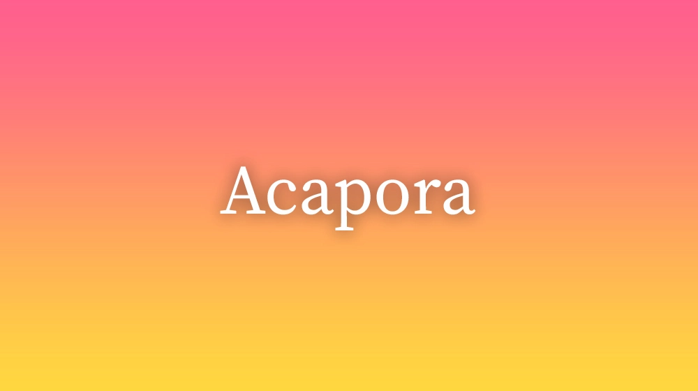 Acapora, significado da palavra no dicionário português