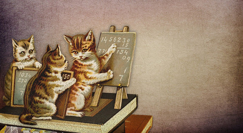 Dois gatos numa grande discussão, história de Fernando Pessoa