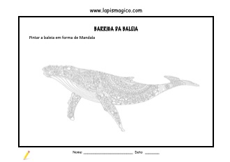 Barriga da Baleia, ficha pdf nº1